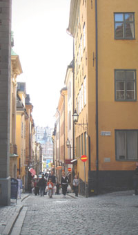 Gamla Stan med vy mot Sdermalm